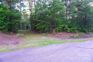 3.87+/- acres in River Park at Lake Adger development. Lot has on Brights Creek Golf Course in North Carolina - for sale on GolfHomes.com, golf home, golf lot