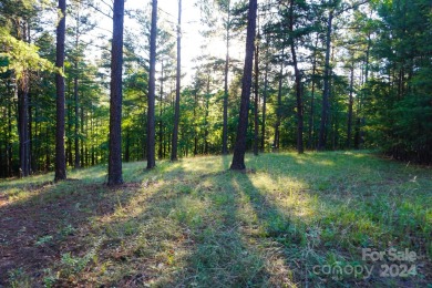 3.87+/- acres in River Park at Lake Adger development. Lot has on Brights Creek Golf Course in North Carolina - for sale on GolfHomes.com, golf home, golf lot