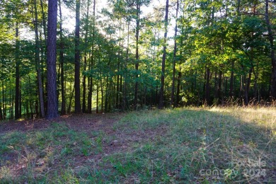 3.87+/- acres in River Park at Lake Adger development. Lot has on Brights Creek Golf Course in North Carolina - for sale on GolfHomes.com, golf home, golf lot