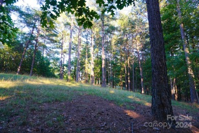 3.87+/- acres in River Park at Lake Adger development. Lot has on Brights Creek Golf Course in North Carolina - for sale on GolfHomes.com, golf home, golf lot