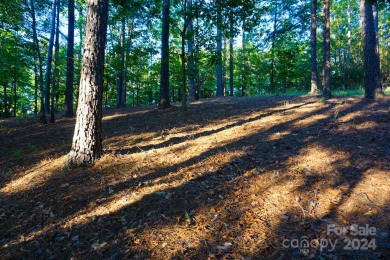 3.87+/- acres in River Park at Lake Adger development. Lot has on Brights Creek Golf Course in North Carolina - for sale on GolfHomes.com, golf home, golf lot