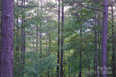 3.87+/- acres in River Park at Lake Adger development. Lot has on Brights Creek Golf Course in North Carolina - for sale on GolfHomes.com, golf home, golf lot