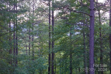 3.87+/- acres in River Park at Lake Adger development. Lot has on Brights Creek Golf Course in North Carolina - for sale on GolfHomes.com, golf home, golf lot