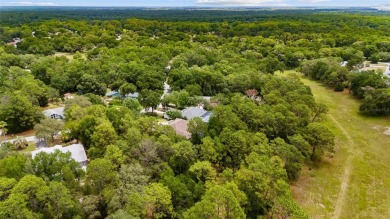Welcome to your slice of paradise in Rainbow Springs Country on Rainbow Springs Golf and Country Club in Florida - for sale on GolfHomes.com, golf home, golf lot