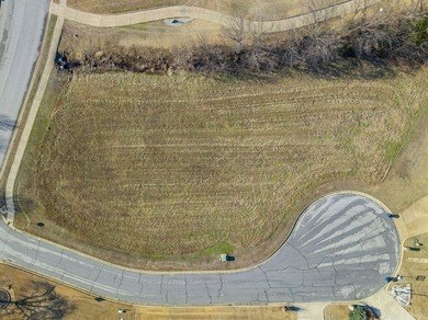 Two continuous lots in desirable location in the established Big on Big Creek Golf and Country Club in Arkansas - for sale on GolfHomes.com, golf home, golf lot