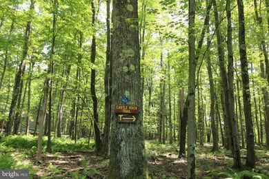 Experience ALPINE LAKE RESORT LIVING at its finest on this on Alpine Lake Resort in West Virginia - for sale on GolfHomes.com, golf home, golf lot