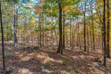 32 LODOSA...HOT SPRINGS VILLAGE ONE OF A KIND - Totally on DeSoto Golf Course in Arkansas - for sale on GolfHomes.com, golf home, golf lot