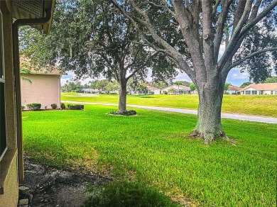 Under contract-accepting backup offers. Welcome to 1235 on Heritage Springs Country Club in Florida - for sale on GolfHomes.com, golf home, golf lot