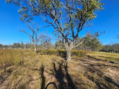 Howdy! Welcome to The Ranches neighborhood of Pecan Plantation on Pecan Plantation Country Club in Texas - for sale on GolfHomes.com, golf home, golf lot