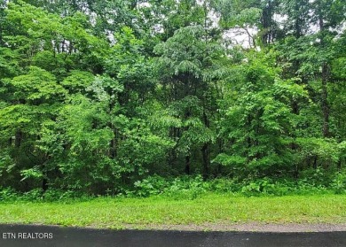 Building your Dream House just got easier, the perfect floor on Toqua Golf Course - Loudon County in Tennessee - for sale on GolfHomes.com, golf home, golf lot