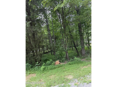 Building your Dream House just got easier, the perfect floor on Toqua Golf Course - Loudon County in Tennessee - for sale on GolfHomes.com, golf home, golf lot