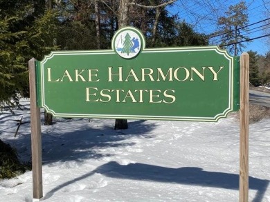 Nestled between 2 Ski Resorts, 2 Golf Courses with direct beach on Split Rock Resort and Country Club in Pennsylvania - for sale on GolfHomes.com, golf home, golf lot