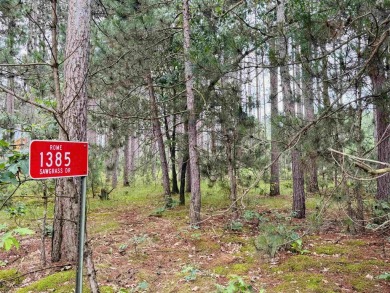 Build your dream getaway on this Lake Arrowhead golf course lot on Lake Arrowhead Golf Course - The Lakes in Wisconsin - for sale on GolfHomes.com, golf home, golf lot