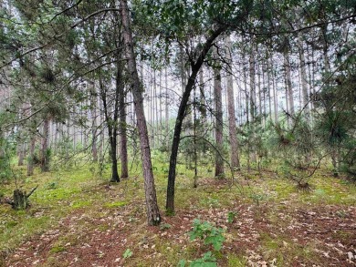 Build your dream getaway on this Lake Arrowhead golf course lot on Lake Arrowhead Golf Course - The Lakes in Wisconsin - for sale on GolfHomes.com, golf home, golf lot