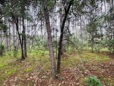 Build your dream getaway on this Lake Arrowhead golf course lot on Lake Arrowhead Golf Course - The Lakes in Wisconsin - for sale on GolfHomes.com, golf home, golf lot