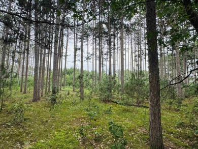 Build your dream getaway on this Lake Arrowhead golf course lot on Lake Arrowhead Golf Course - The Lakes in Wisconsin - for sale on GolfHomes.com, golf home, golf lot