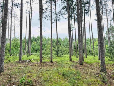 Build your dream getaway on this Lake Arrowhead golf course lot on Lake Arrowhead Golf Course - The Lakes in Wisconsin - for sale on GolfHomes.com, golf home, golf lot