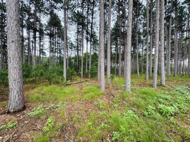 Build your dream getaway on this Lake Arrowhead golf course lot on Lake Arrowhead Golf Course - The Lakes in Wisconsin - for sale on GolfHomes.com, golf home, golf lot