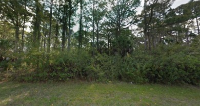 Great lot minutes away from US41 and all shopping and dinning in on Riverwood Golf Club in Florida - for sale on GolfHomes.com, golf home, golf lot