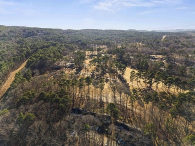 Modern Golf-Front Living on Desoto Hole #3  Discover this on DeSoto Golf Course in Arkansas - for sale on GolfHomes.com, golf home, golf lot