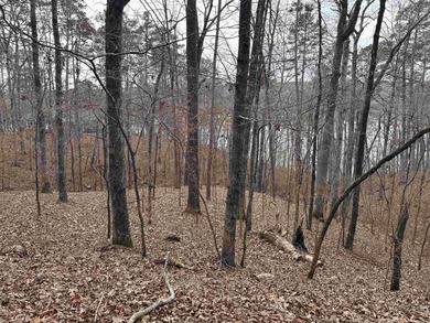 Large 1-Acre Waterfront Lot on Lake Cortez  Rare opportunity to on Cortez Golf Course in Arkansas - for sale on GolfHomes.com, golf home, golf lot