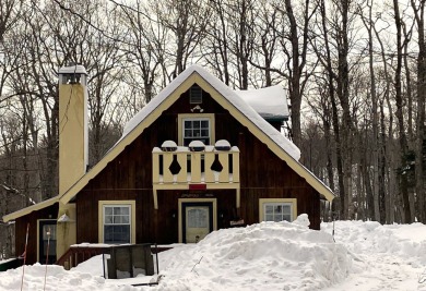 Location, Location, Location this classic chalet sits on top of on Hermitage Club Golf Course in Vermont - for sale on GolfHomes.com, golf home, golf lot