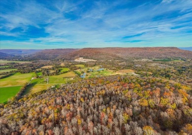 Location! Location!  This pristine 130+- acres rural tract of on Sequatchie Valley Golf and Country Club in Tennessee - for sale on GolfHomes.com, golf home, golf lot