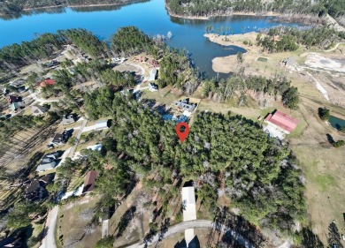Build your dream home on this beautiful Lake Sam Rayburn lake on Rayburn Country Club in Texas - for sale on GolfHomes.com, golf home, golf lot