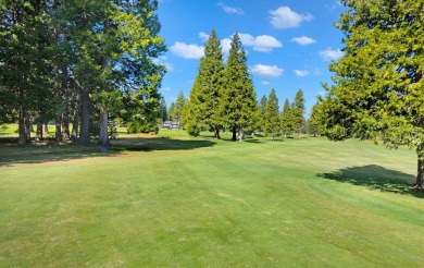 Nestled on a prime, .48-acre golf course lot, this well on Lake Almanor West Golf Course in California - for sale on GolfHomes.com, golf home, golf lot