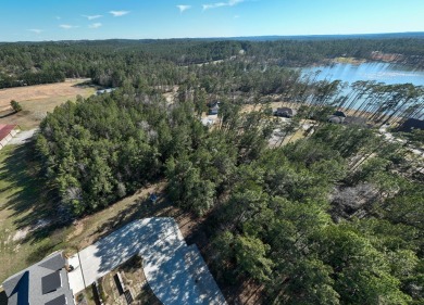 Build your dream home on this beautiful Lake Sam Rayburn lake on Rayburn Country Club in Texas - for sale on GolfHomes.com, golf home, golf lot