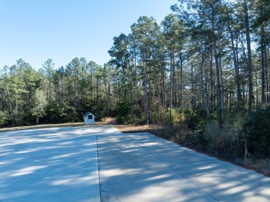 Build your dream home on this beautiful Lake Sam Rayburn lake on Rayburn Country Club in Texas - for sale on GolfHomes.com, golf home, golf lot