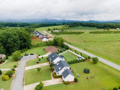 *Alittle bit* of everything you're looking for; mountain view on Links O Tryon in South Carolina - for sale on GolfHomes.com, golf home, golf lot