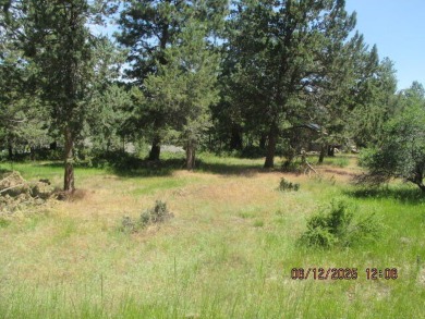 The Running Y Resort is a fantastic destination for outdoor on Running Y Ranch Resort in Oregon - for sale on GolfHomes.com, golf home, golf lot