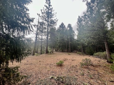 KEEP YOUR HEAD IN THE CLOUDS ON THIS DREAMY HOMESITE AT NAKOMA on Nakoma Golf Resort in California - for sale on GolfHomes.com, golf home, golf lot