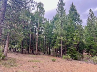 KEEP YOUR HEAD IN THE CLOUDS ON THIS DREAMY HOMESITE AT NAKOMA on Nakoma Golf Resort in California - for sale on GolfHomes.com, golf home, golf lot