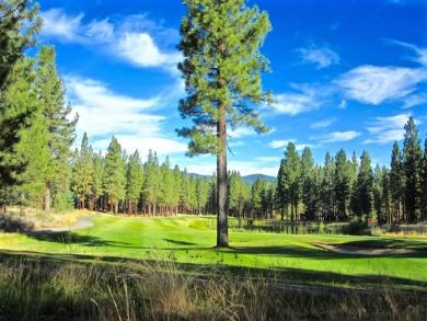 KEEP YOUR HEAD IN THE CLOUDS ON THIS DREAMY HOMESITE AT NAKOMA on Nakoma Golf Resort in California - for sale on GolfHomes.com, golf home, golf lot