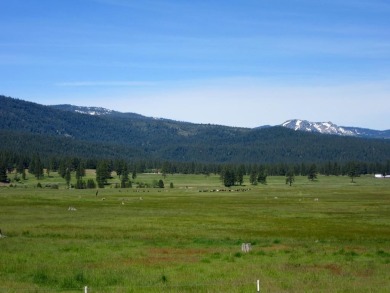 KEEP YOUR HEAD IN THE CLOUDS ON THIS DREAMY HOMESITE AT NAKOMA on Nakoma Golf Resort in California - for sale on GolfHomes.com, golf home, golf lot