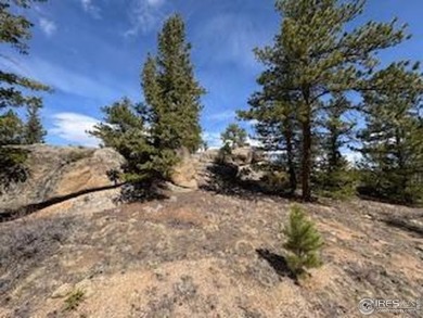 Lot 70, Prime building lot Overlooking the 16th Green, with on Fox Acres Country Club in Colorado - for sale on GolfHomes.com, golf home, golf lot