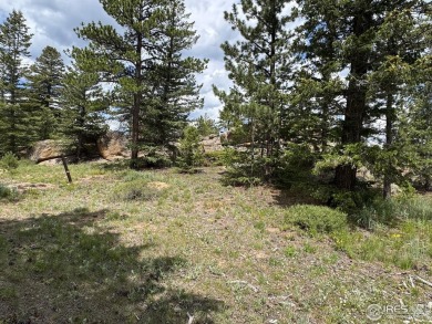Lot 70, Prime building lot Overlooking the 16th Green, with on Fox Acres Country Club in Colorado - for sale on GolfHomes.com, golf home, golf lot