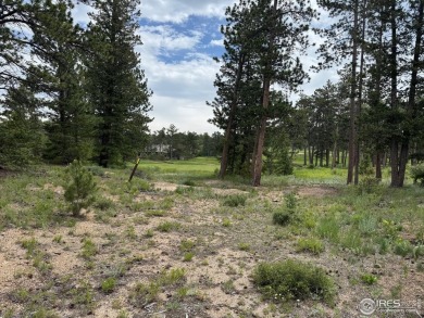 Lot 70, Prime building lot Overlooking the 16th Green, with on Fox Acres Country Club in Colorado - for sale on GolfHomes.com, golf home, golf lot