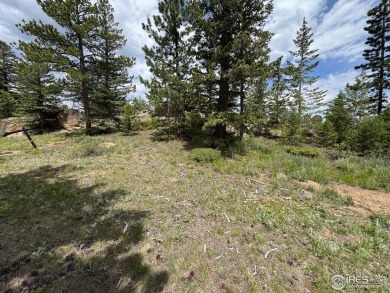Lot 70, Prime building lot Overlooking the 16th Green, with on Fox Acres Country Club in Colorado - for sale on GolfHomes.com, golf home, golf lot
