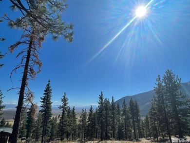 Build the home of your dreams on one of the most dramatic home on Clear Creek Tahoe in Nevada - for sale on GolfHomes.com, golf home, golf lot