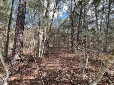 Rayburn Country Lot 373 located on Arikara contains 0.24 Acres on Rayburn Country Club in Texas - for sale on GolfHomes.com, golf home, golf lot