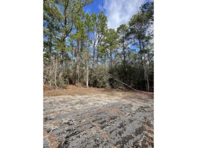 Rayburn Country Lot 373 located on Arikara contains 0.24 Acres on Rayburn Country Club in Texas - for sale on GolfHomes.com, golf home, golf lot