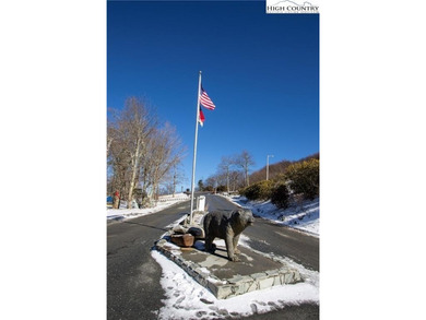 Fully furnished and completely redone! Amazing long range ski on Sugar Mountain Golf Course in North Carolina - for sale on GolfHomes.com, golf home, golf lot