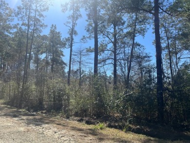 Come build your East Texas dream home St beautiful Lake Sam on Rayburn Country Club in Texas - for sale on GolfHomes.com, golf home, golf lot