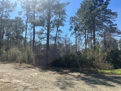 Come build your East Texas dream home St beautiful Lake Sam on Rayburn Country Club in Texas - for sale on GolfHomes.com, golf home, golf lot