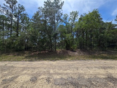 Great opportunity to own a homesite in the fast-growing on Citrus Springs Country Club in Florida - for sale on GolfHomes.com, golf home, golf lot