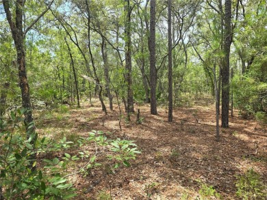 Great opportunity to own a homesite in the fast-growing on Citrus Springs Country Club in Florida - for sale on GolfHomes.com, golf home, golf lot