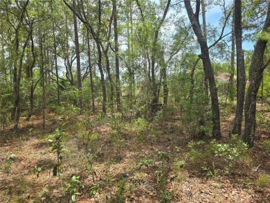 Great opportunity to own a homesite in the fast-growing on Citrus Springs Country Club in Florida - for sale on GolfHomes.com, golf home, golf lot